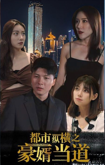 都市纵横之豪婿当道第01集