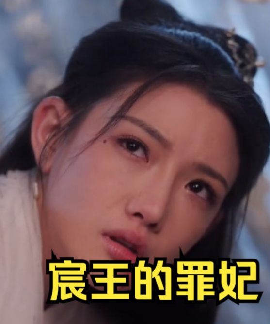 宸王的罪妃第12集