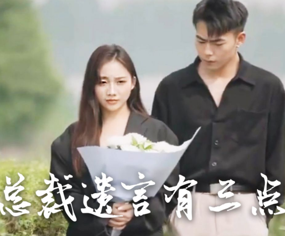 总裁遗言有3点第02集