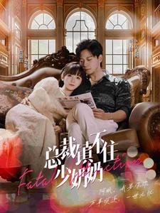 总裁镇不住少奶奶第28集