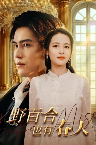 野百合也有春天短剧第56集