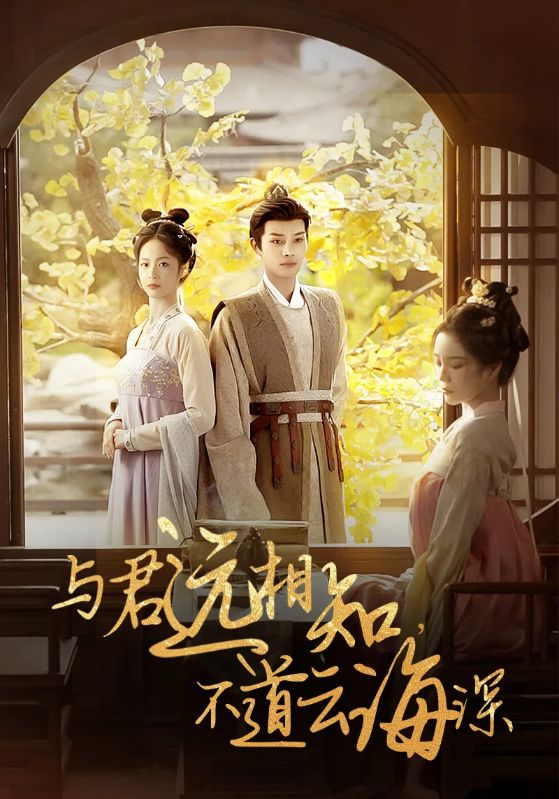 与君远相知不道云海深第02集