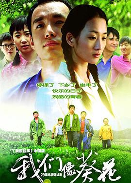 我们像葵花第02集