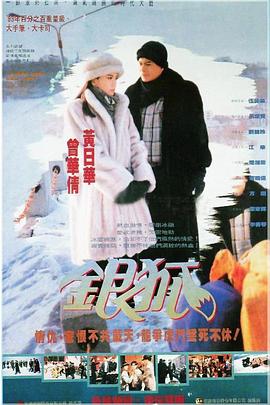银狐粤语第29集