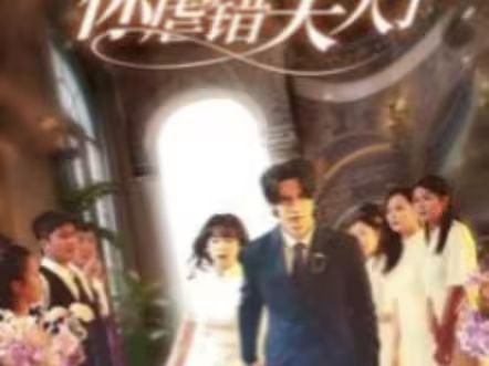 陆总住手吧，你虐错夫人了第21-40集