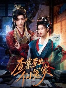 查案查出个小冤家(全集)
