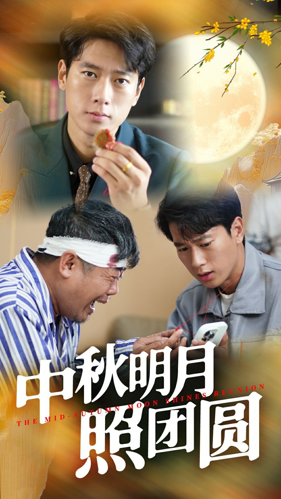 中秋明月照团圆第1-20集