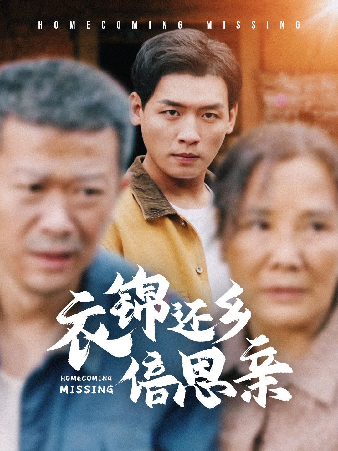 衣锦还乡倍思亲第30集