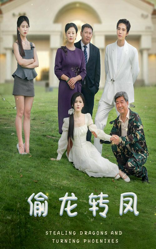 偷龙转凤第1-20集