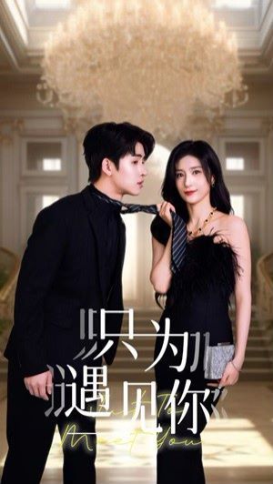 只为遇见你第61-88集完结(大结局)