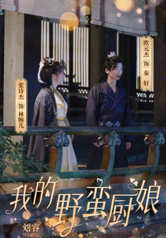 我的野蛮厨娘第28集