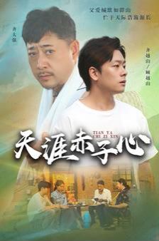 天涯赤子心第14集