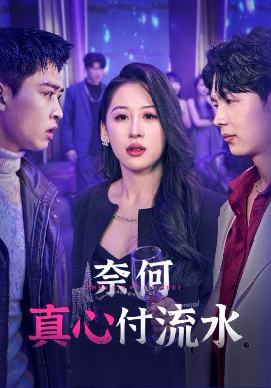 奈何真心付流水第41集
