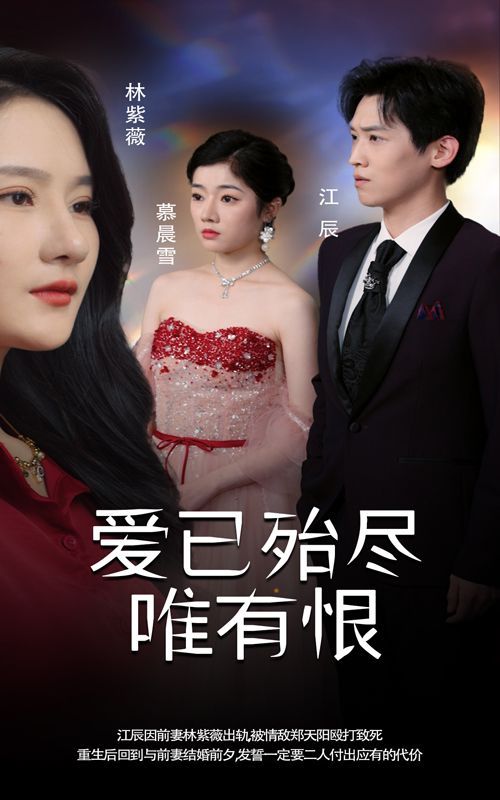 爱已殆尽唯有恨第33集