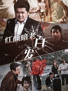 红颜暗老白发新第09集