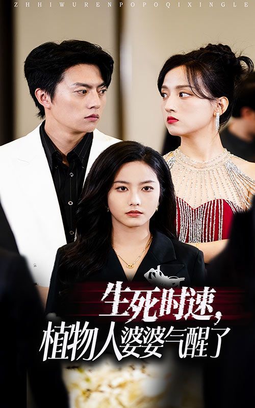 生死时速植物人婆婆气醒了第37集(大结局)