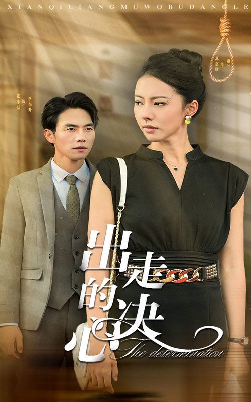 出走的决心全集(大结局)