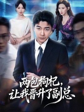 两包枸杞，让我晋升了副总(全集)