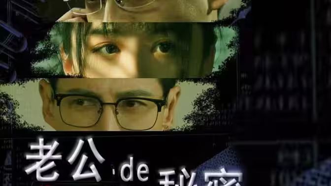 老公的秘密全集