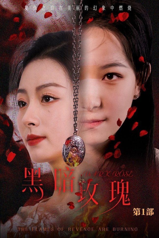 黑暗玫瑰第1-20集