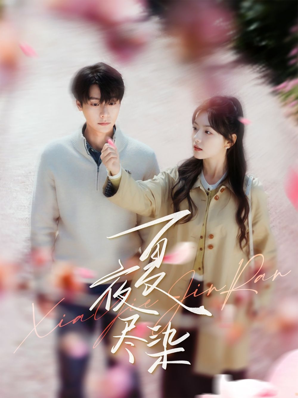 夏夜尽染第1-20集