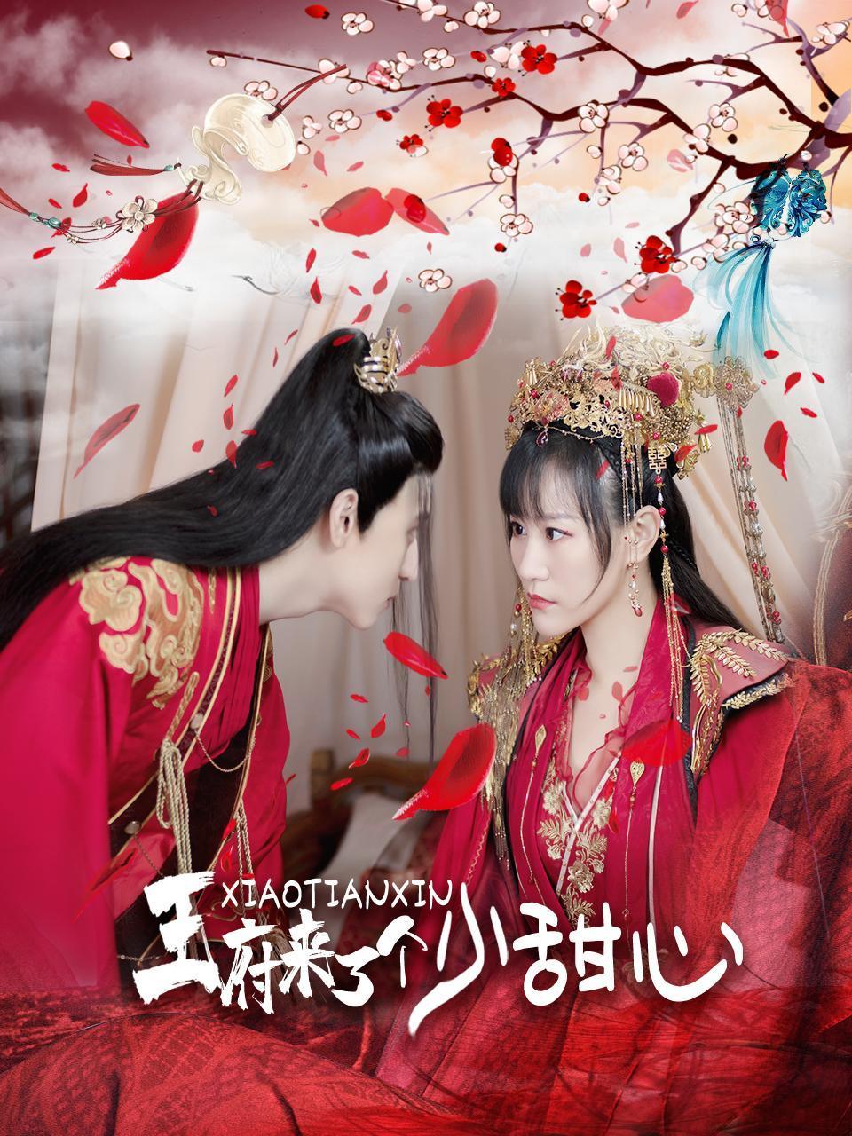 王府来了一个小甜心第14集