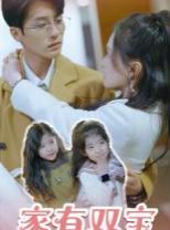 家有双宝拐个总裁送妈咪第1-20集