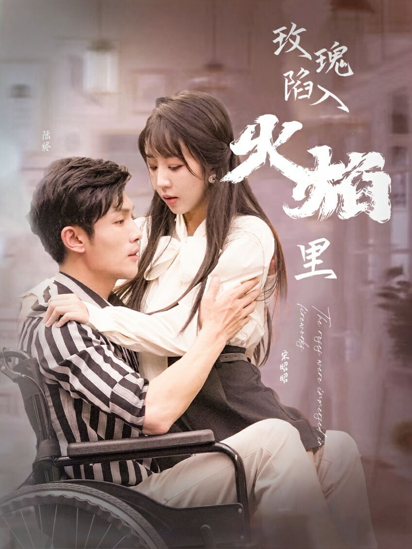 新玫瑰陷入火焰里第61-80集