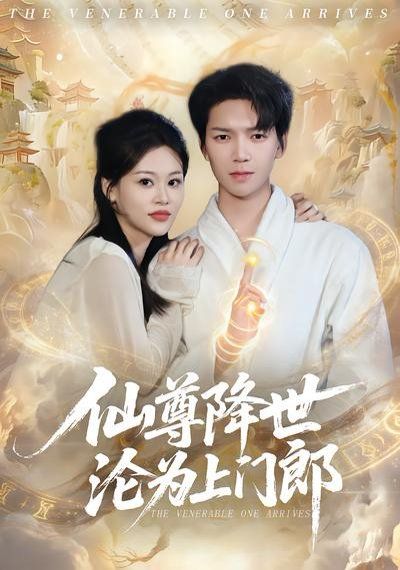 仙尊降世沦为上门郎(全集)