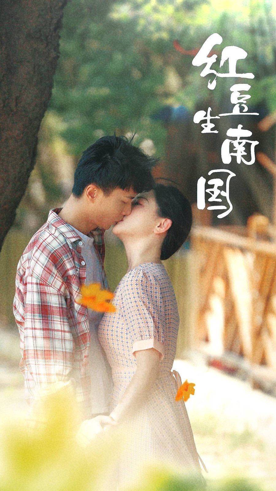 红豆生南国第41-53集完结(大结局)