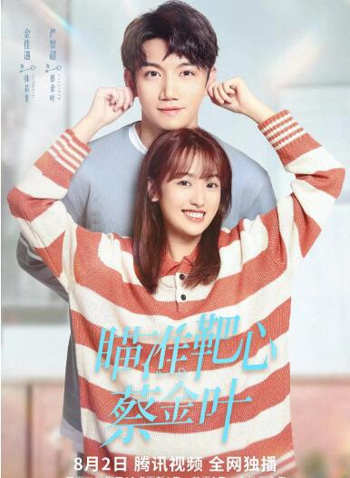 瞄准靶心！蔡金叶第17集